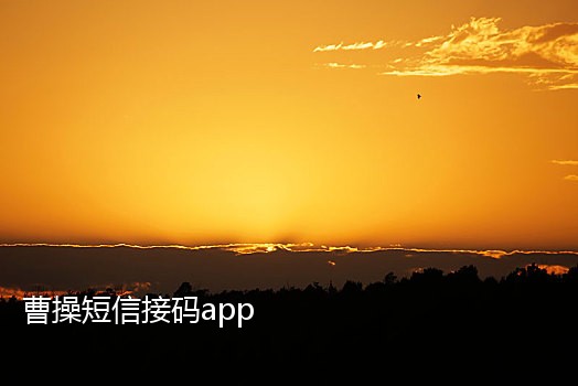 为什么手机会接不到验证码