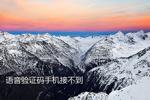 猪手机可以接码吗