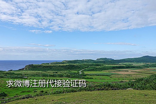 中国手机号码接码平台有哪些