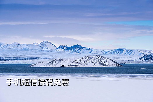 中国手机号接码平台