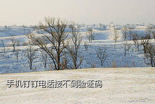 接外国电话变红码了吗苹果
