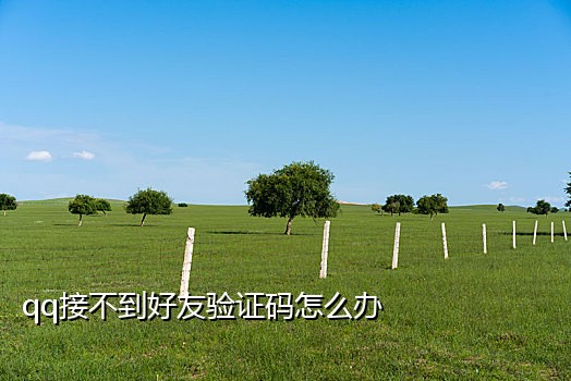 只接验证码的手机号