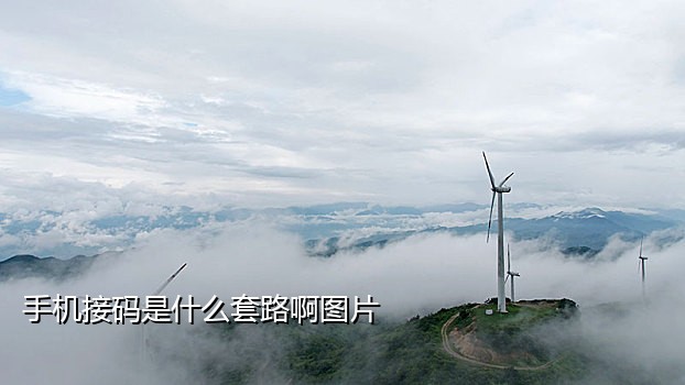 支付宝健康码接绑定