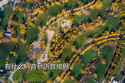 支持收发短信的接码平台