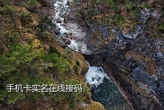 赵云接码短信平台