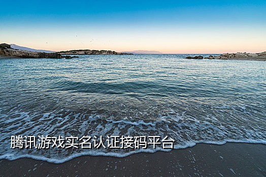 怎么在闲鱼上买接码软件