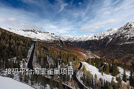 怎么接空手机号验证码