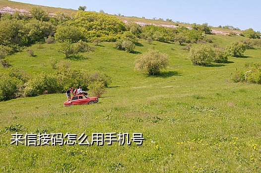 在线手机号码接码