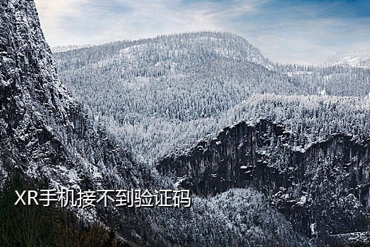 在线接码短信验证码平台