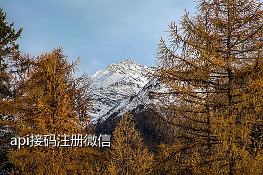 在线接发手机验证码平台