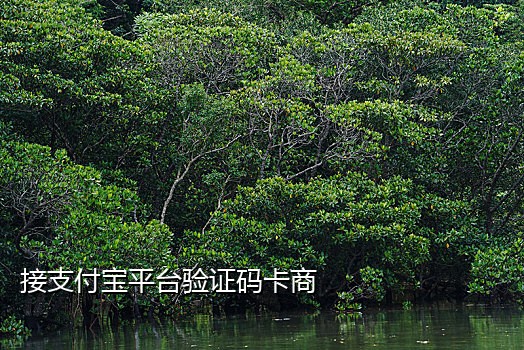 语音饿了么接码