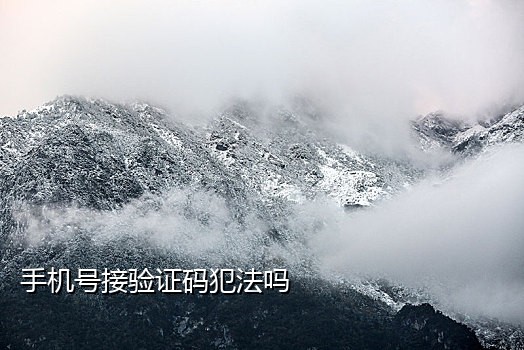 有没有专门接验证码的手机