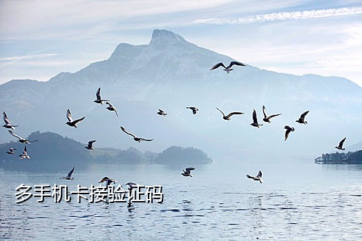 接码注册微博新号