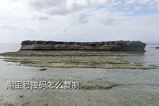 永久免费手机号接码台