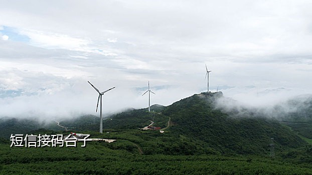 闲鱼接码短信平台