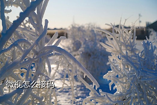 为什么国外抖音接不到验证码