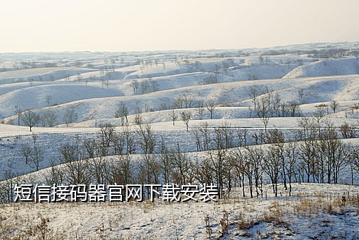 接码验证码接收平台抖音