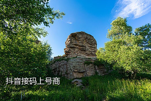 微信注册辅助接码平台