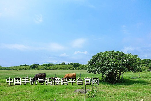 微信扫码任务在哪接