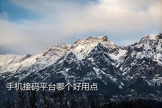 微信接码码平台