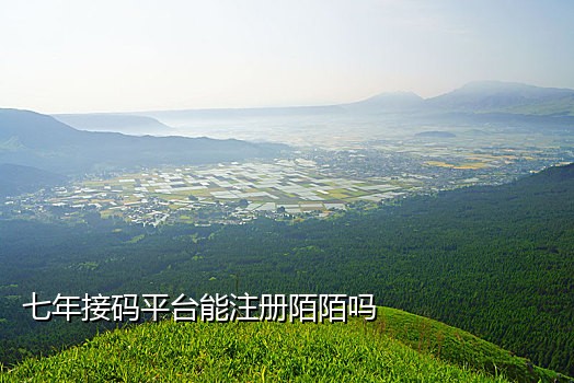 微信接码辅助