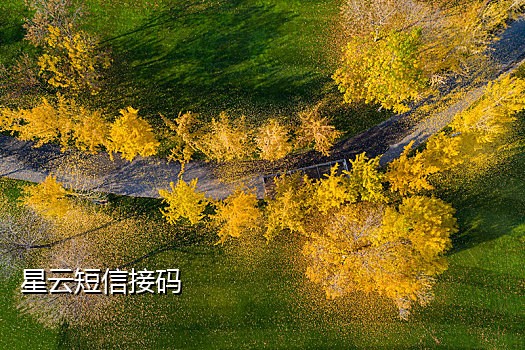 微信充值接码平台