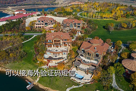 淘特接码平台