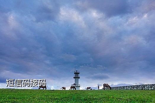 淘宝闲鱼接码是干什么