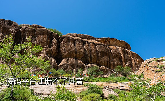 淘宝接验证码违法吗
