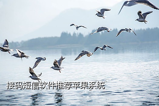 淘宝接码网址