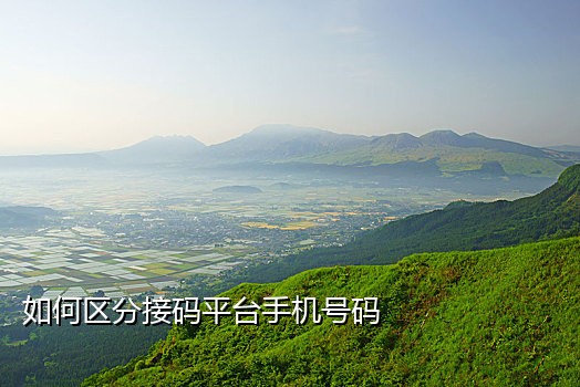 探探接码有风险吗怎么解决