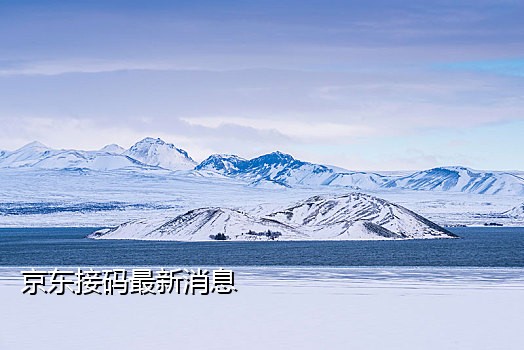 探探接码无法注册