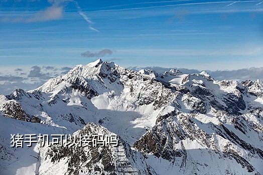探探接码号是什么