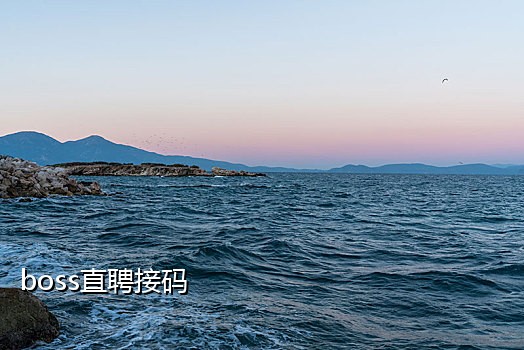 接码手机号不在线