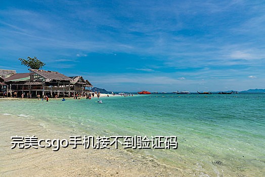 他信接码短信验证码平台