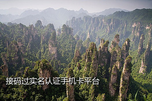 手机语音接码软件