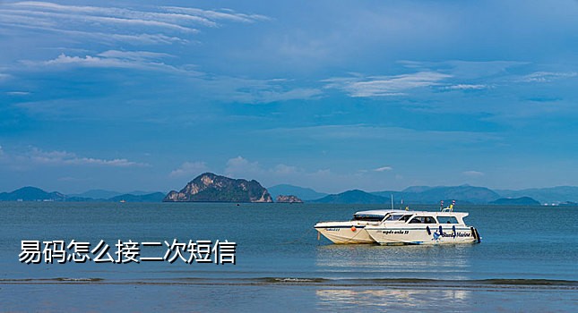 手机验证码可以接多少条