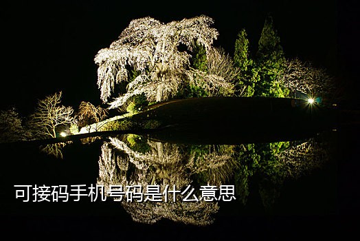 手机扫码注册接码验证