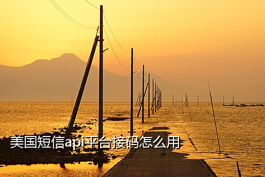 手机可用的接码