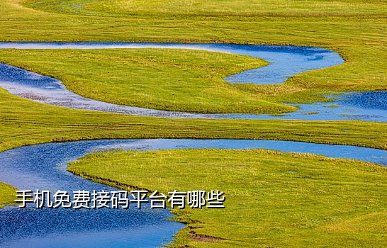手机接码怎么操作