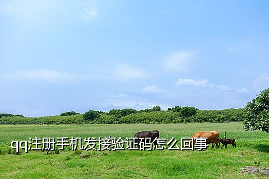 手机接码是什么意思