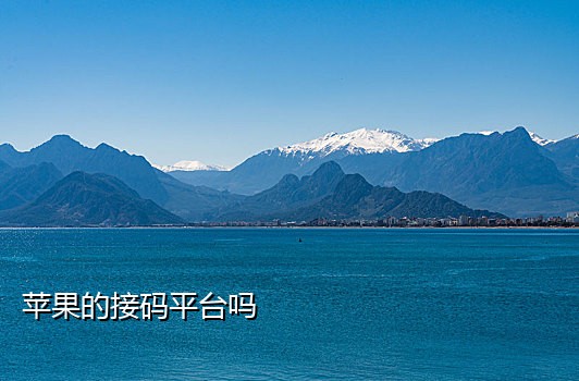 手机接码平台2021