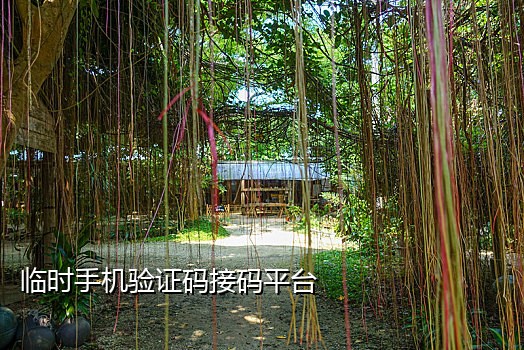 手机号怎么成邮箱接码