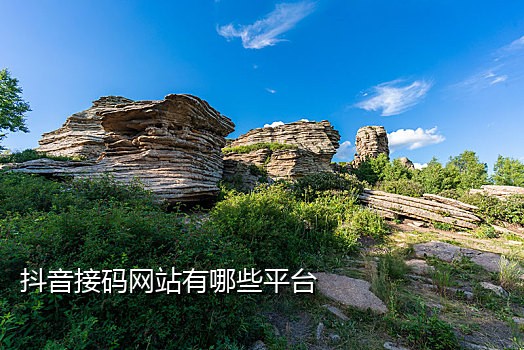 手机号码接码神器