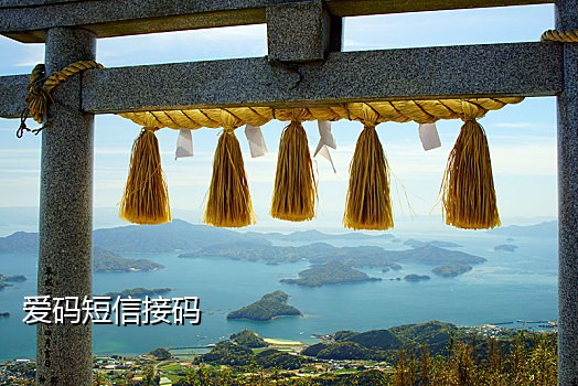 手机号接码供应商