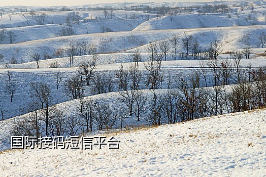 手机号接码短信