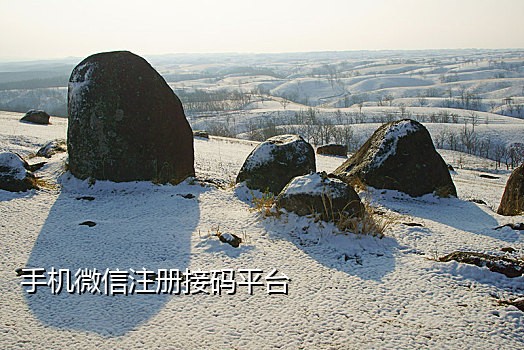 手机打码接码是怎么操作