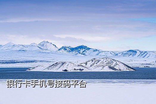 使用接码平台注册微信支付