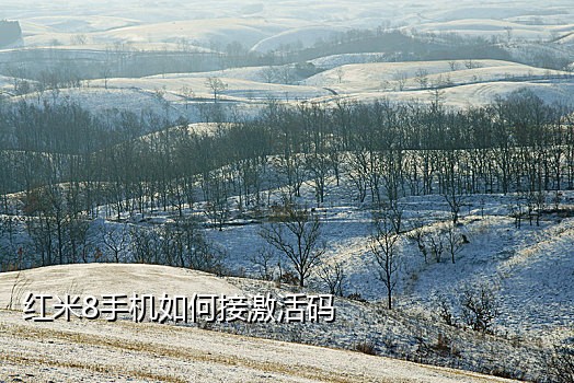 神码接短信验证码平台
