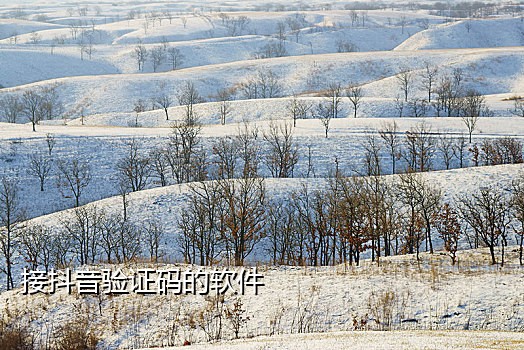 谁有手机短信接码平台